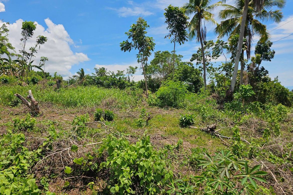 Land for Sale in Pooc Occidental, Tubigon, Bohol – photo 2