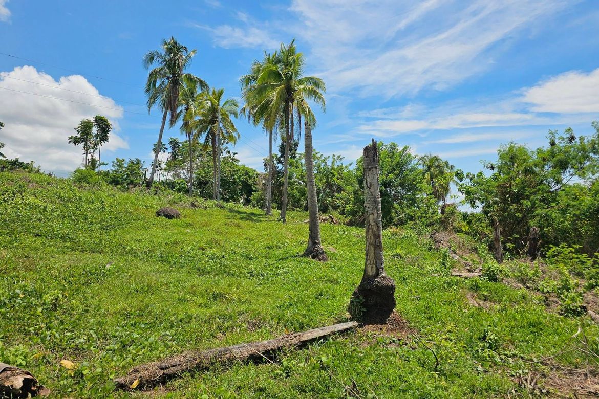 Land for Sale in Pooc Occidental, Tubigon, Bohol – photo 4