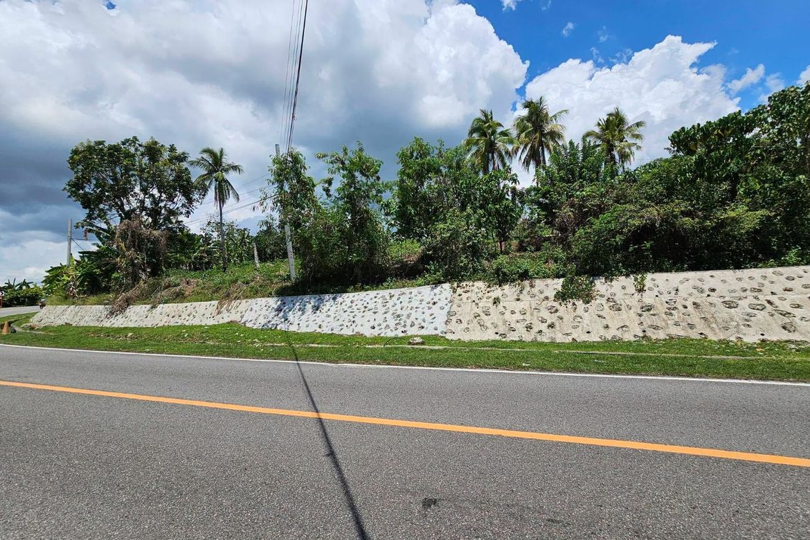 Land for Sale in Pooc Occidental, Tubigon, Bohol – photo 6