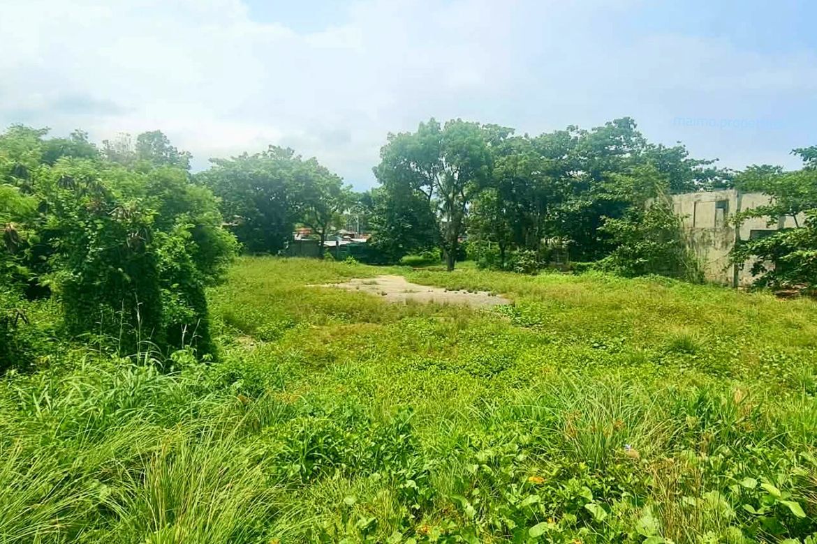 Land for Sale in Pooc, Talisay, Cebu – photo 3