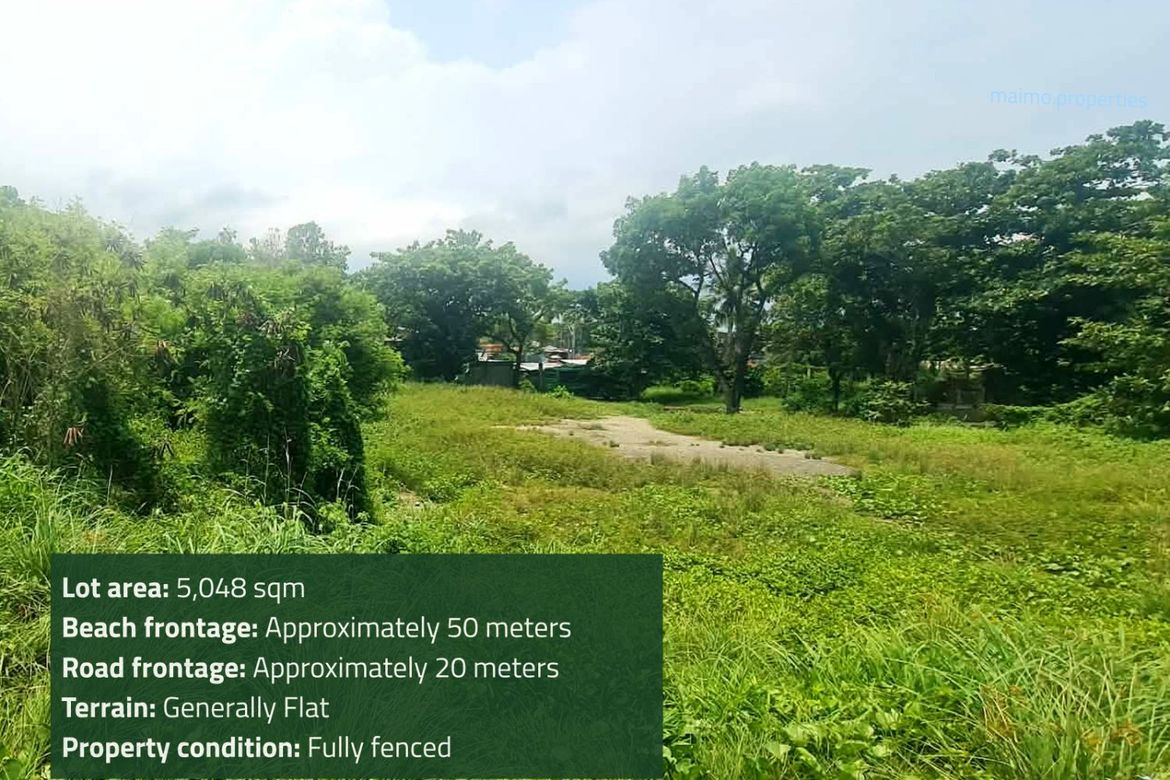 Land for Sale in Pooc, Talisay, Cebu – photo 4
