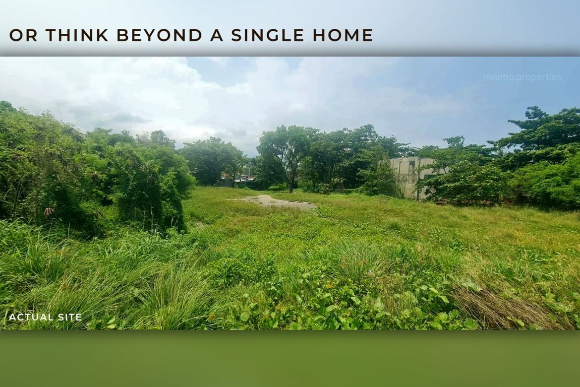 Land for Sale in Pooc, Talisay, Cebu – photo 8