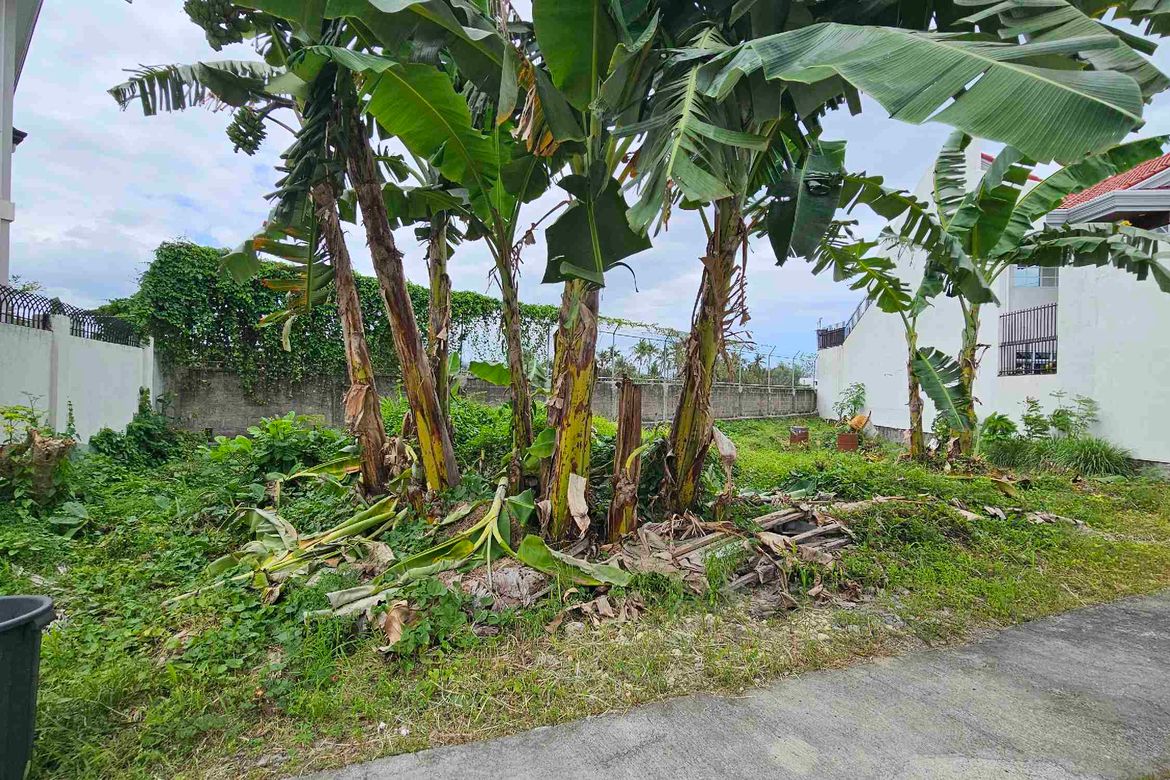 Land for Sale in Pooc, Talisay, Cebu – photo 7