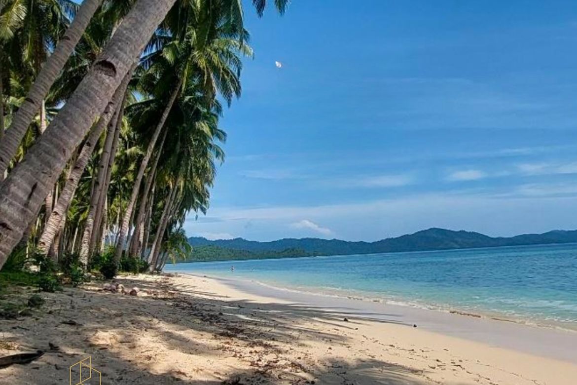 Land for Sale in Port Barton, San Vicente, Palawan – photo 5