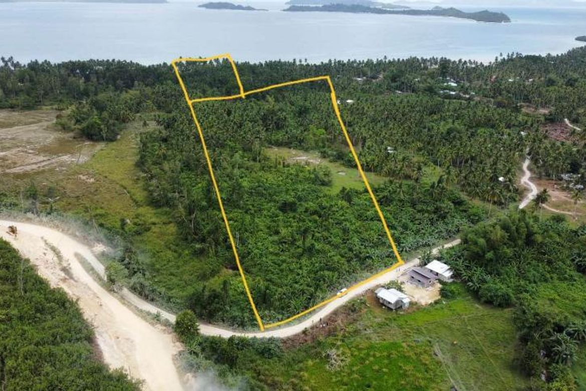 Land for Sale in Port Barton, San Vicente, Palawan – photo 3