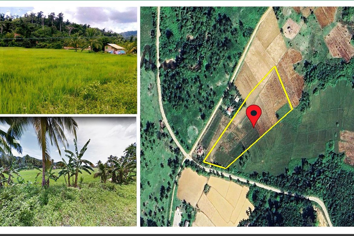 Land for Sale in Port Barton, San Vicente, Palawan