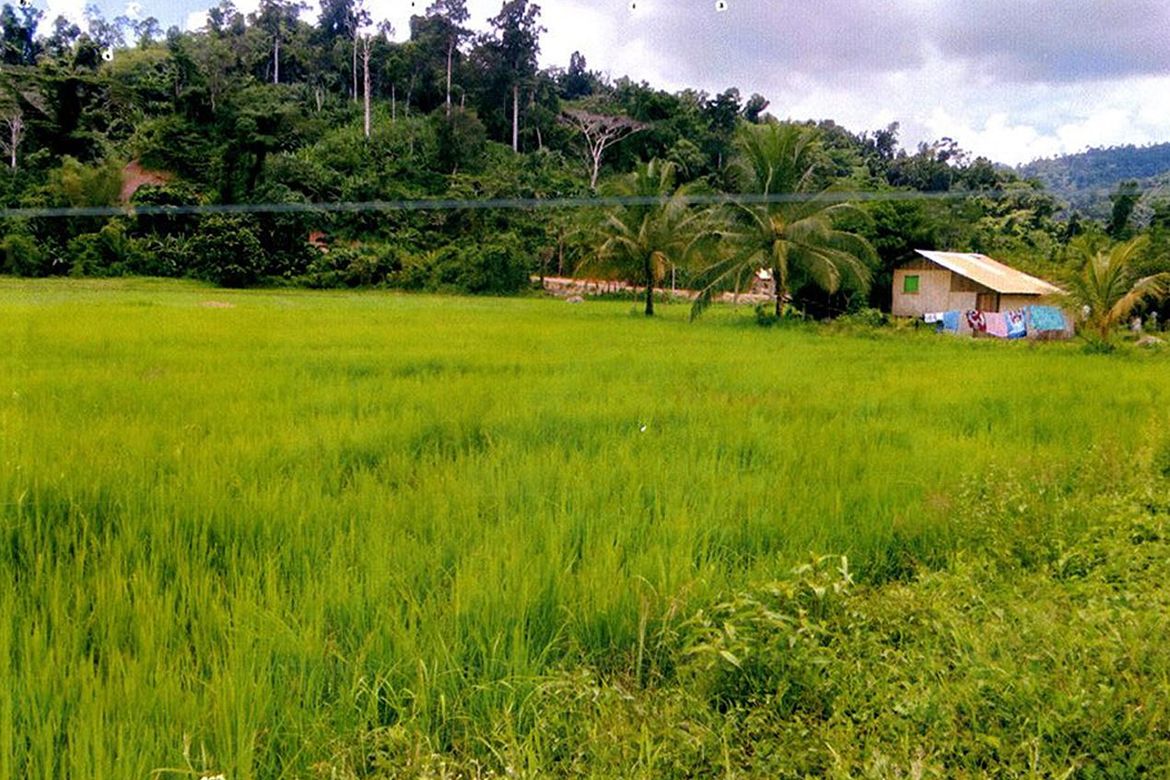 Land for Sale in Port Barton, San Vicente, Palawan – photo 2