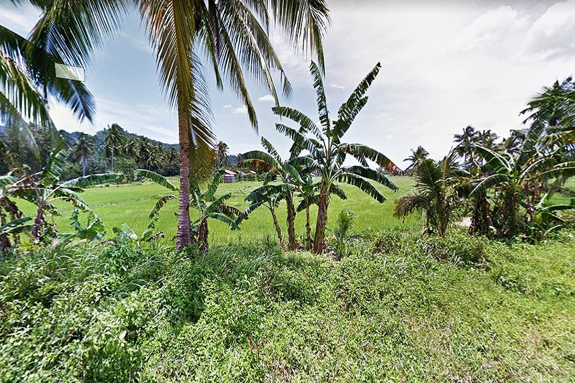 Land for Sale in Port Barton, San Vicente, Palawan – photo 3