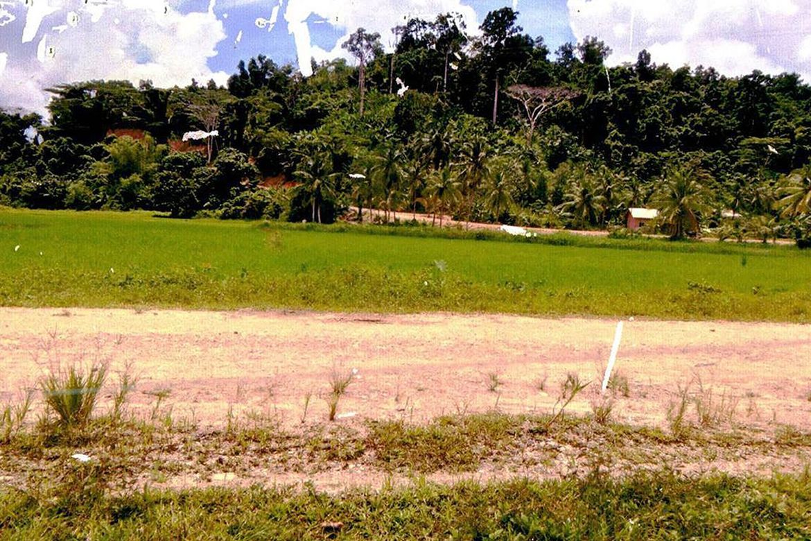 Land for Sale in Port Barton, San Vicente, Palawan – photo 5
