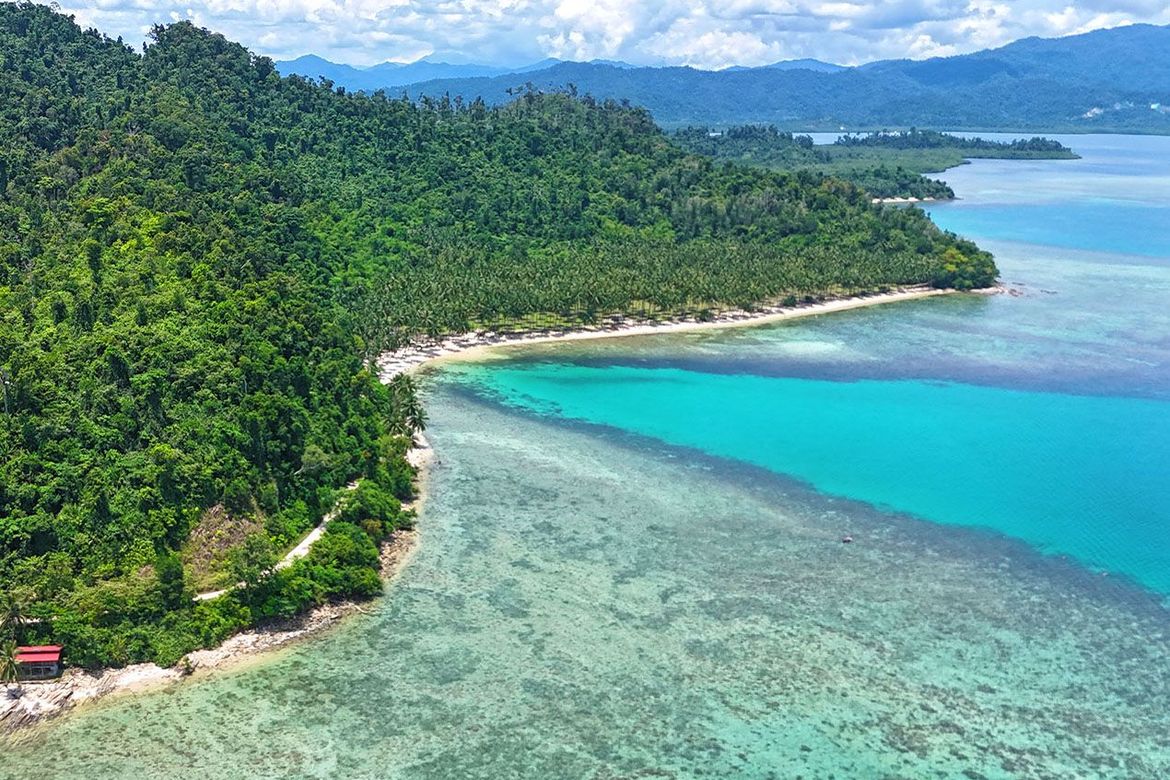 Land for Sale in Port Barton, San Vicente, Palawan – photo 2