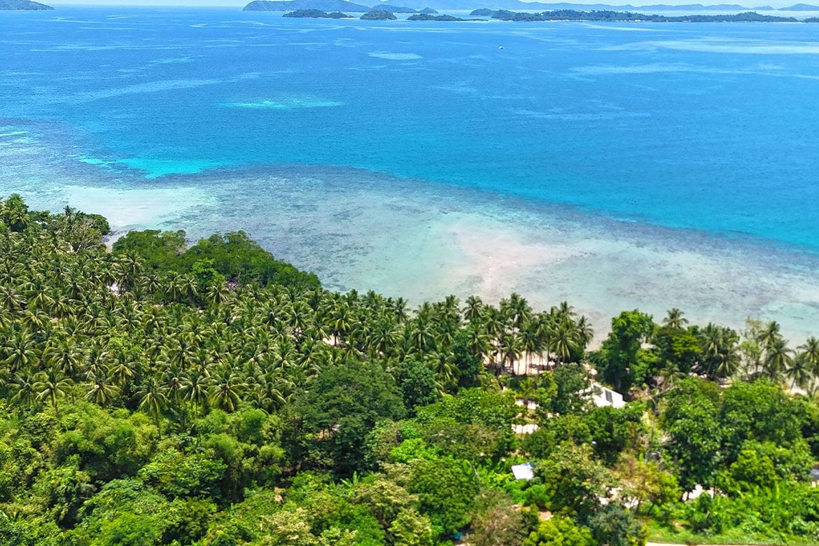 Land for Sale in Port Barton, San Vicente, Palawan – photo 5