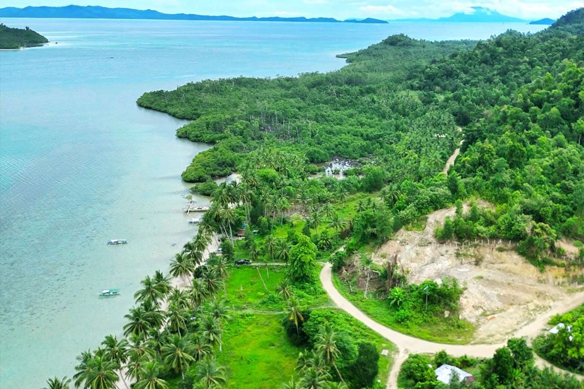 Land for Sale in Port Barton, San Vicente, Palawan – photo 4
