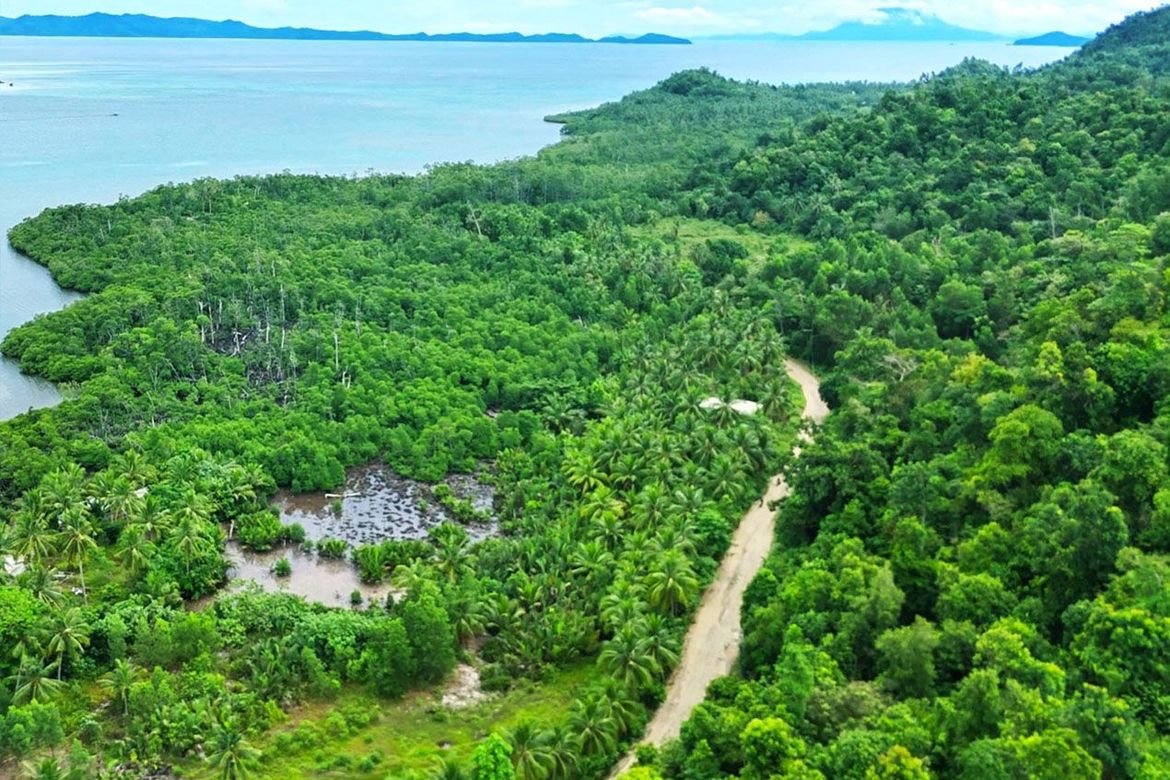 Land for Sale in Port Barton, San Vicente, Palawan – photo 6