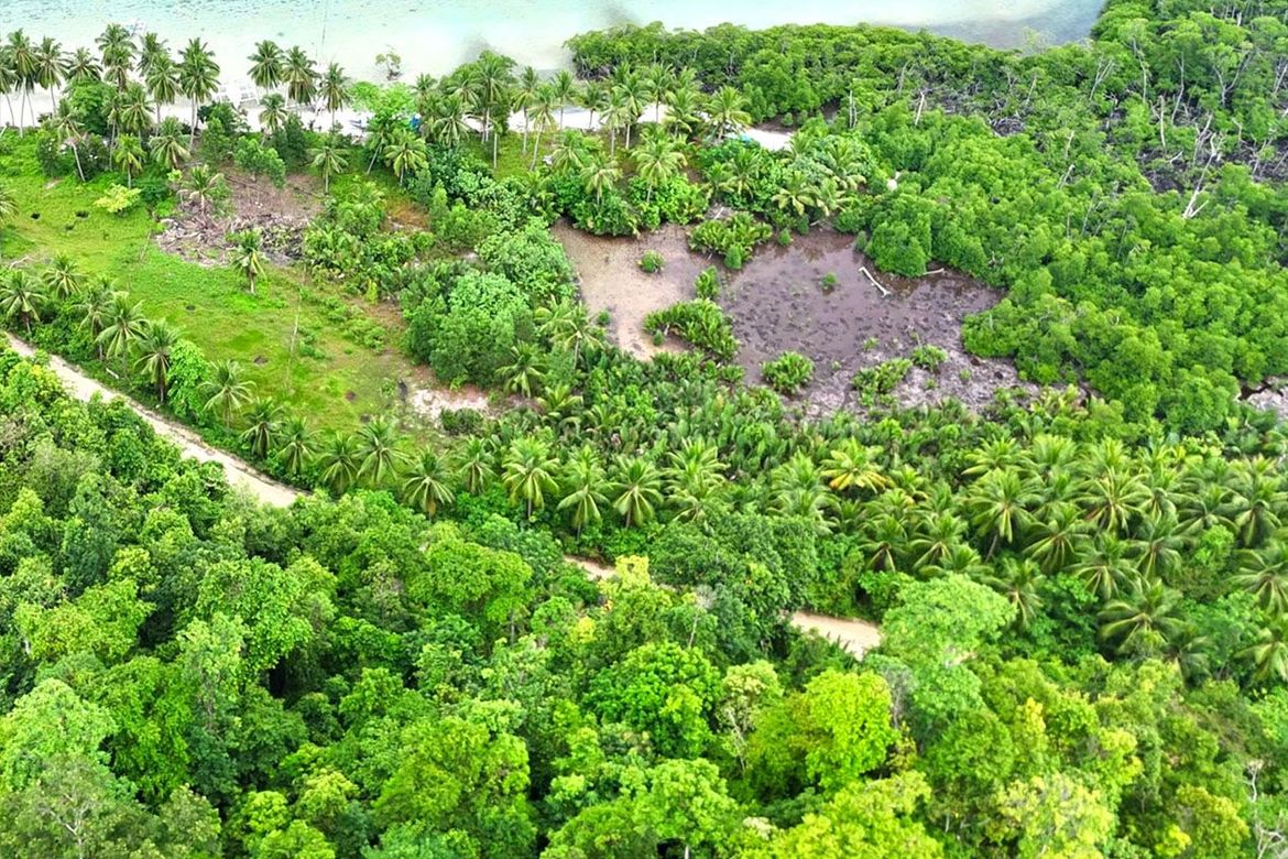 Land for Sale in Port Barton, San Vicente, Palawan – photo 8