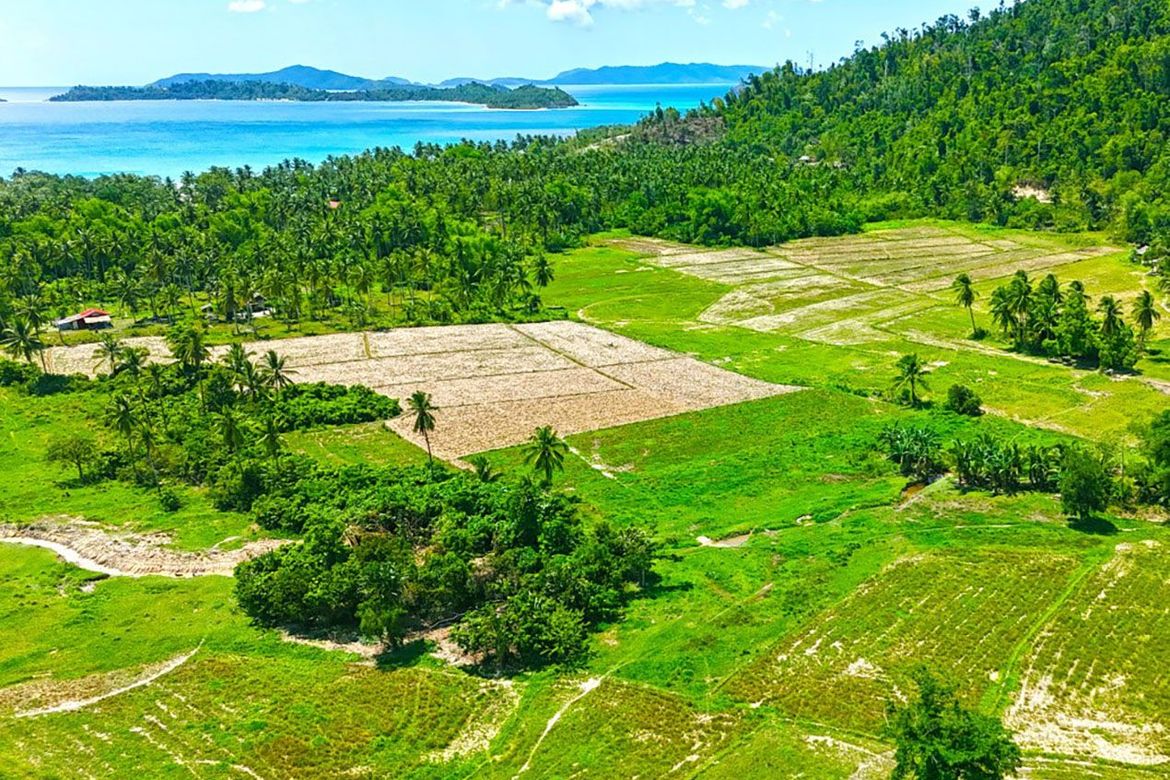 Land for Sale in Port Barton, San Vicente, Palawan – photo 2