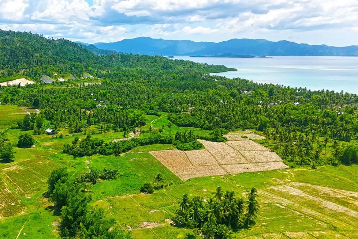 Land for Sale in Port Barton, San Vicente, Palawan – photo 5
