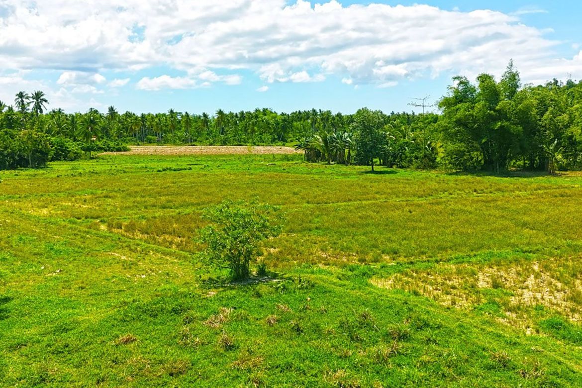 Land for Sale in Port Barton, San Vicente, Palawan – photo 6