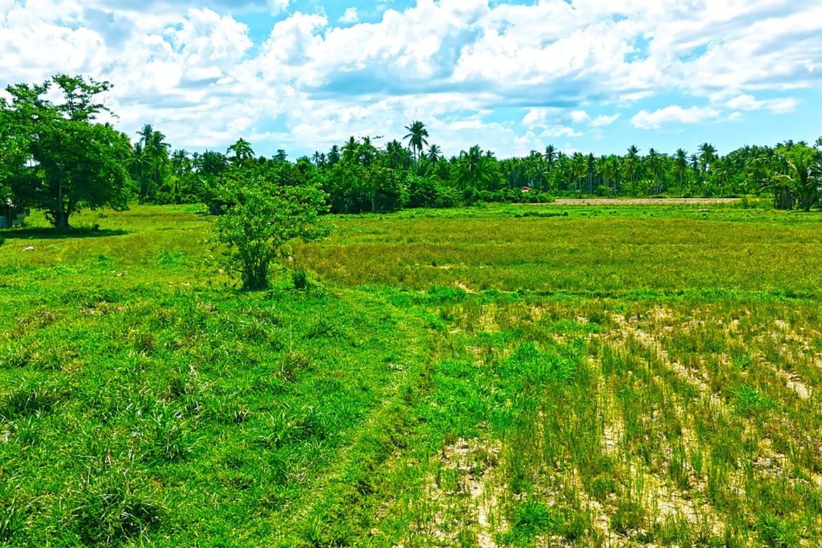 Land for Sale in Port Barton, San Vicente, Palawan – photo 7