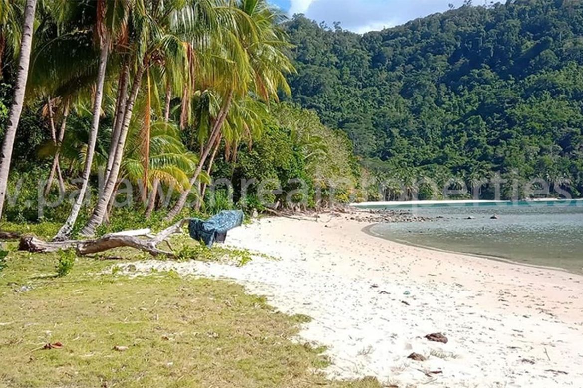 Land for Sale in Port Barton, San Vicente, Palawan