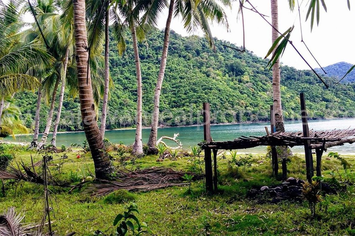 Land for Sale in Port Barton, San Vicente, Palawan – photo 2