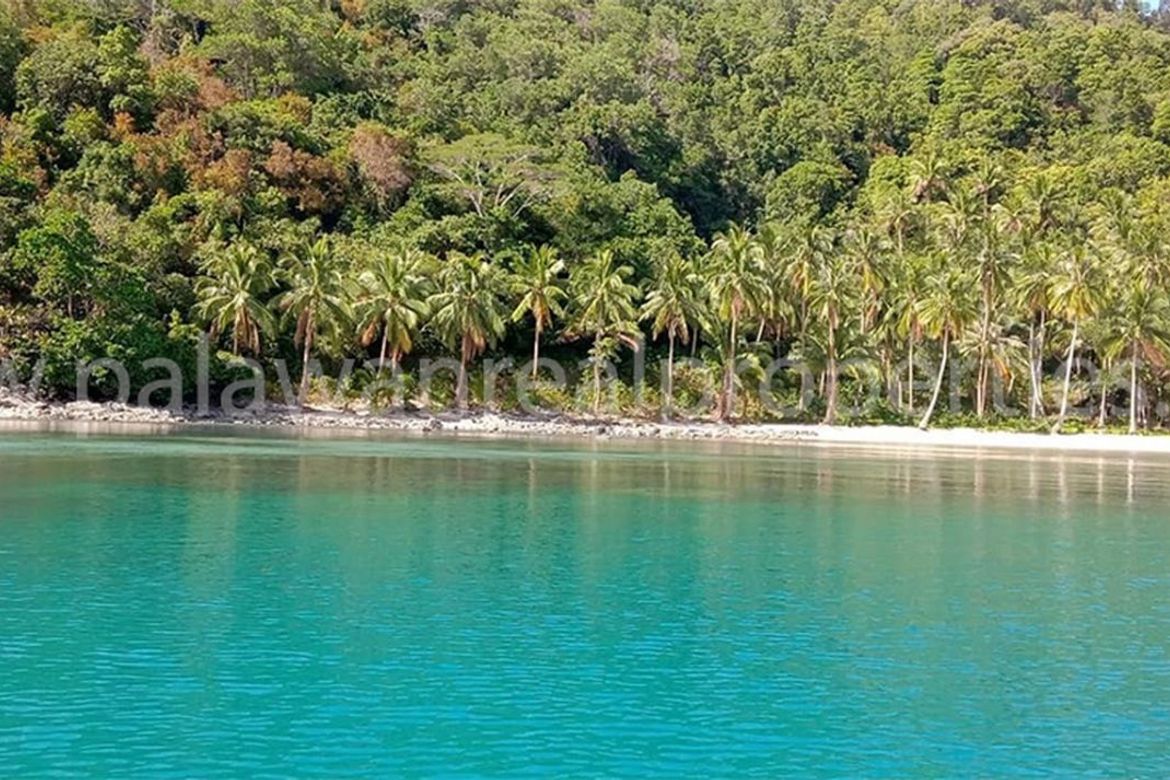 Land for Sale in Port Barton, San Vicente, Palawan – photo 5