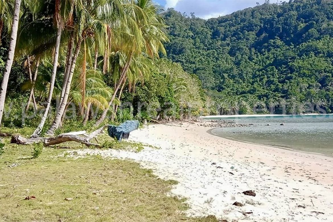 Land for Sale in Port Barton, San Vicente, Palawan – photo 6