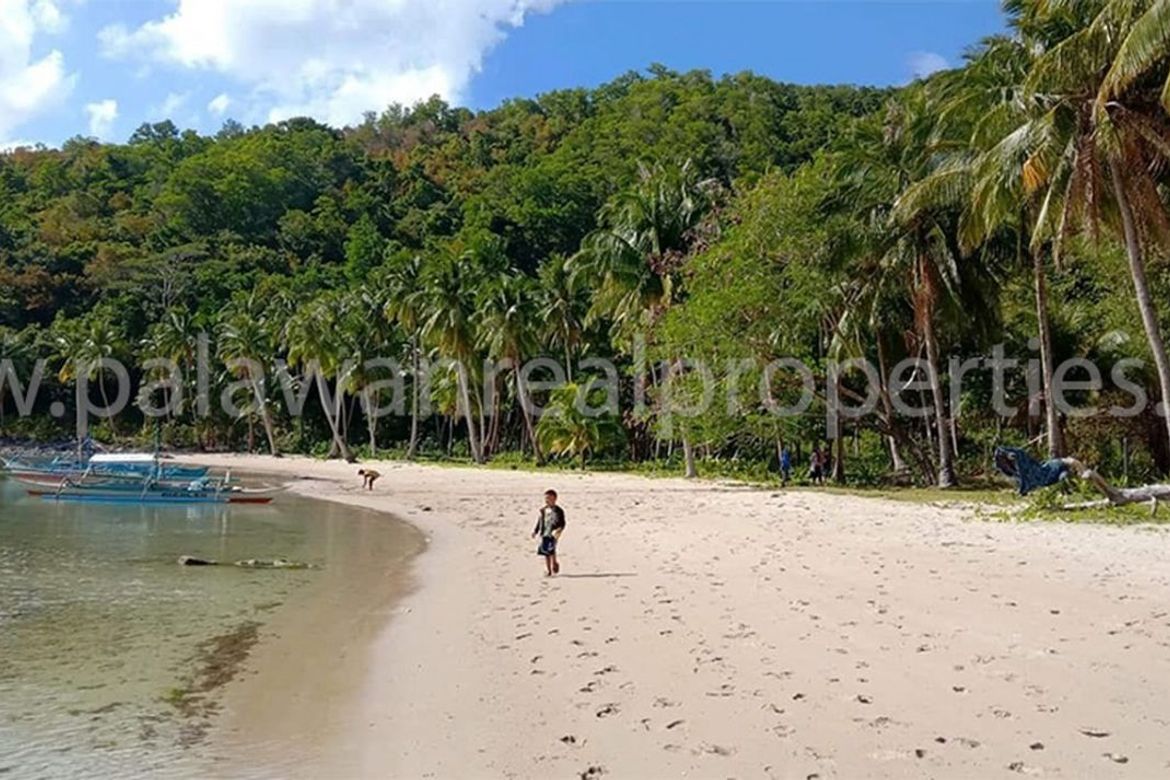 Land for Sale in Port Barton, San Vicente, Palawan – photo 8