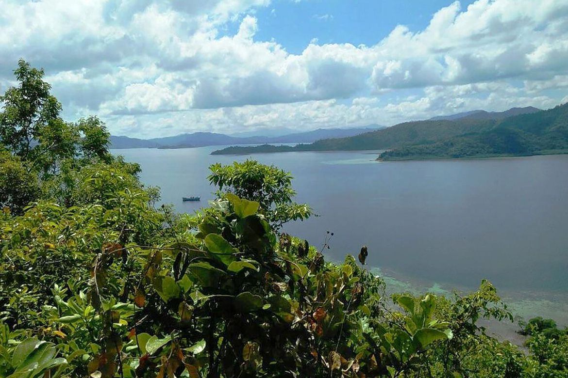 Land for Sale in Port Barton, San Vicente, Palawan – photo 7