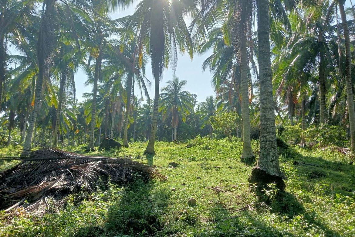 Land for Sale in Port Junction Norte, Ragay, Camarines Sur