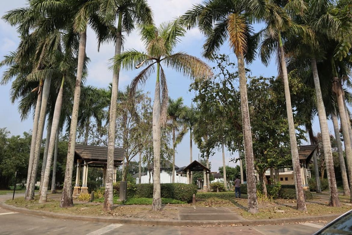 Land for Sale in Pramana Residential Park, Malitlit, Santa Rosa, Laguna – photo 3