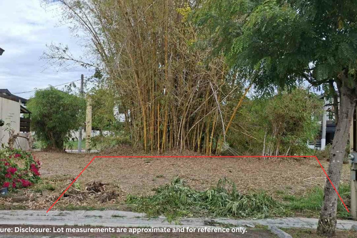 Land for Sale in Pramana Residential Park, Malitlit, Santa Rosa, Laguna – photo 2