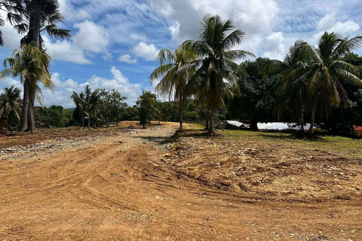 Land for Sale in Prenza, Balamban, Cebu