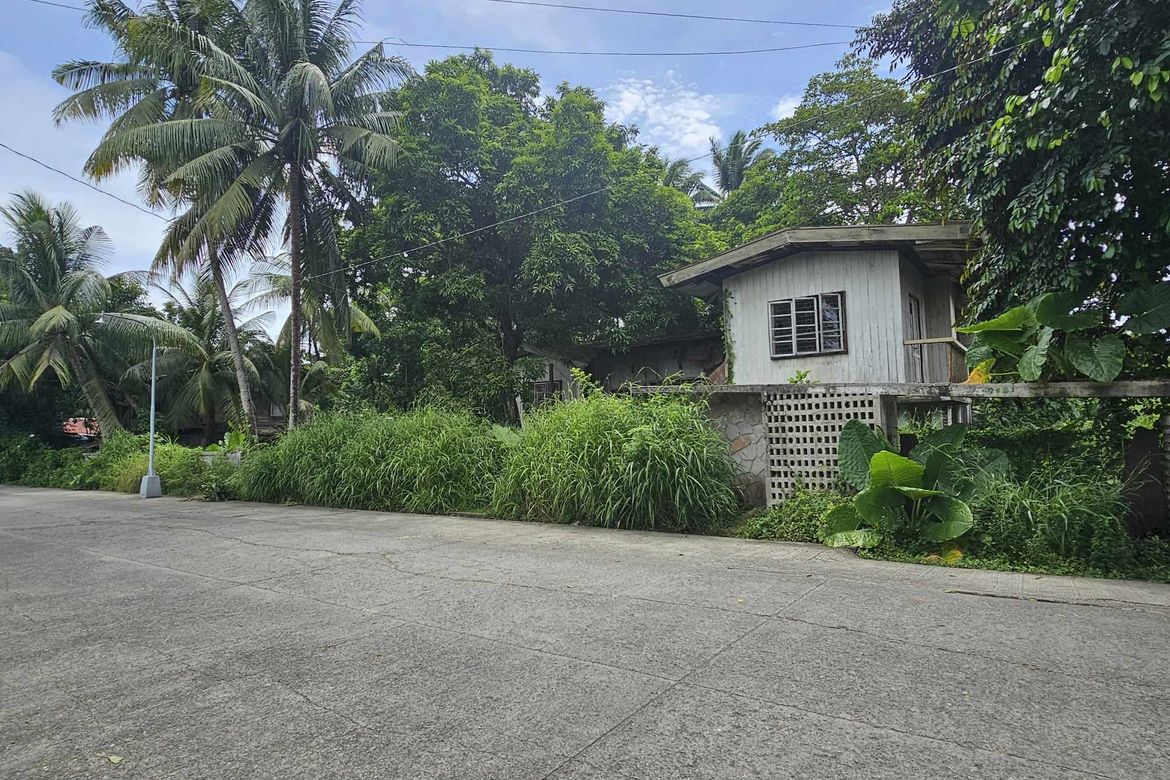 Land for Sale in Primitivo Ledesma Ward, Pototan, Iloilo