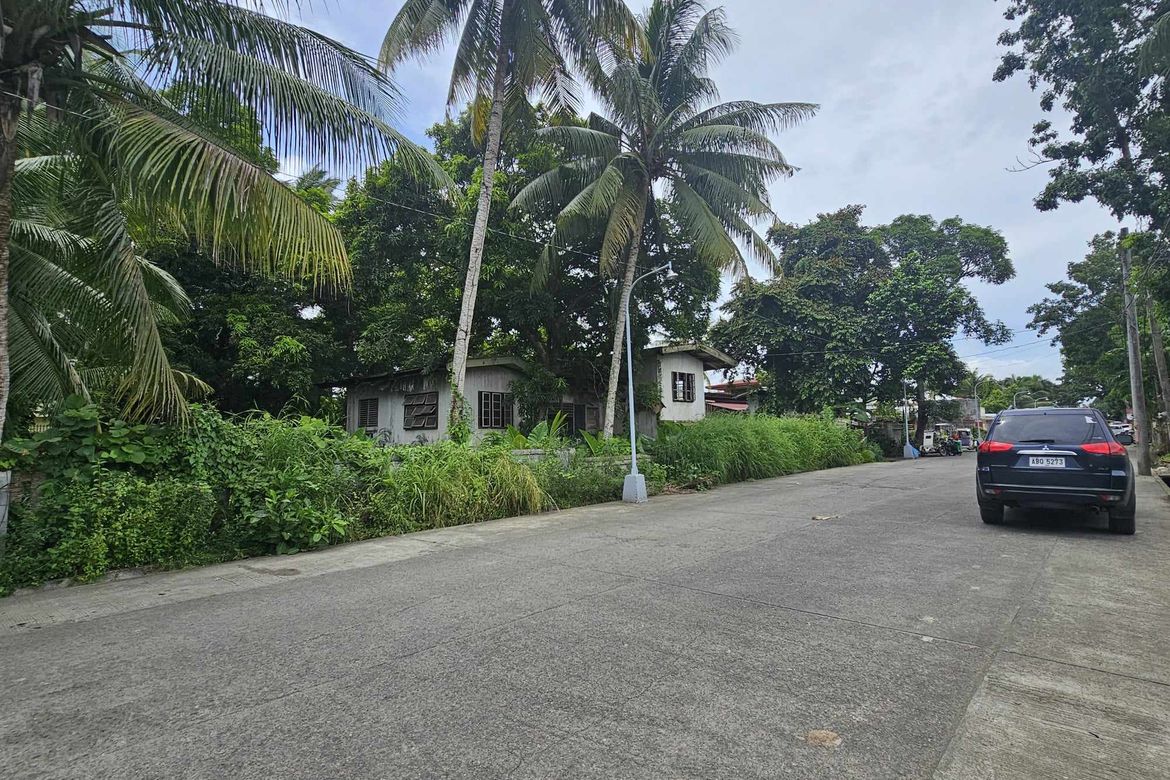 Land for Sale in Primitivo Ledesma Ward, Pototan, Iloilo – photo 2