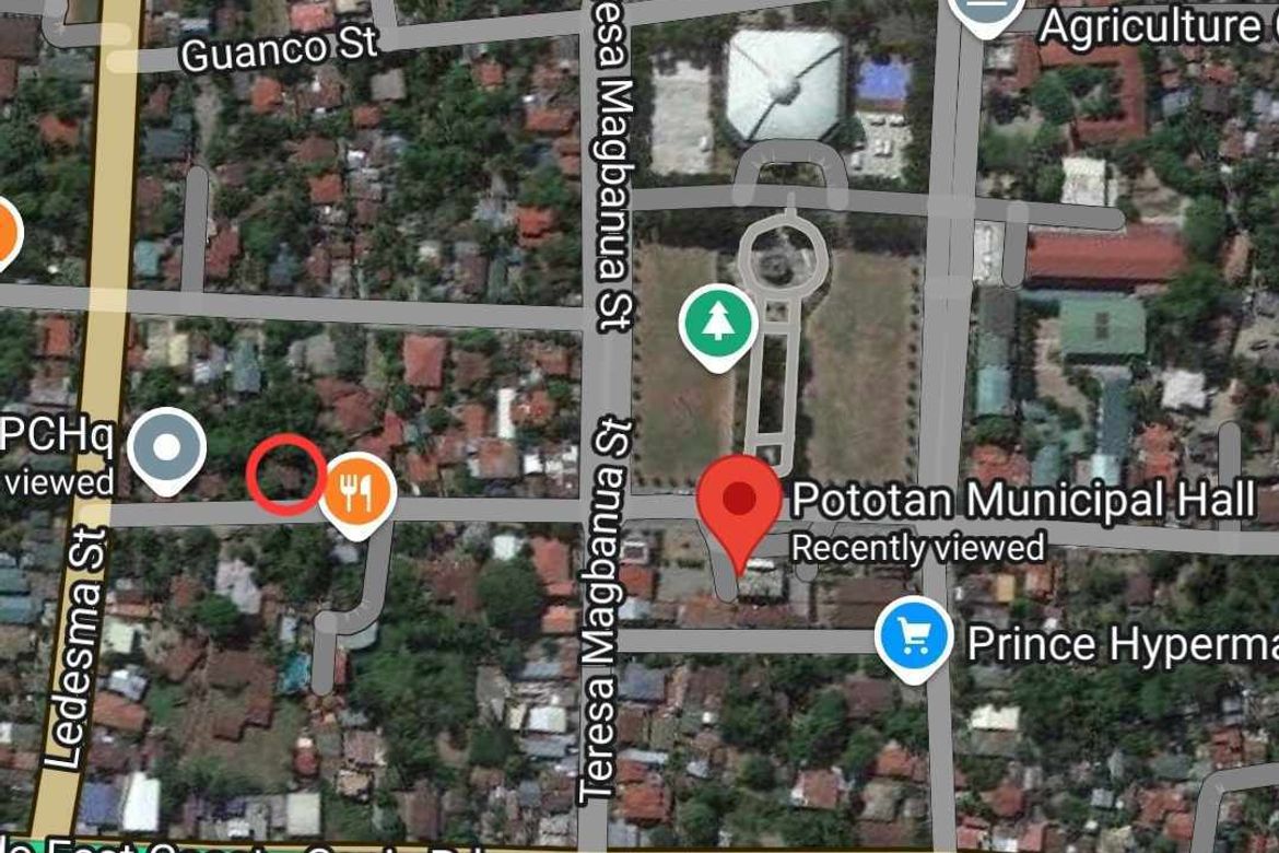 Land for Sale in Primitivo Ledesma Ward, Pototan, Iloilo – photo 7