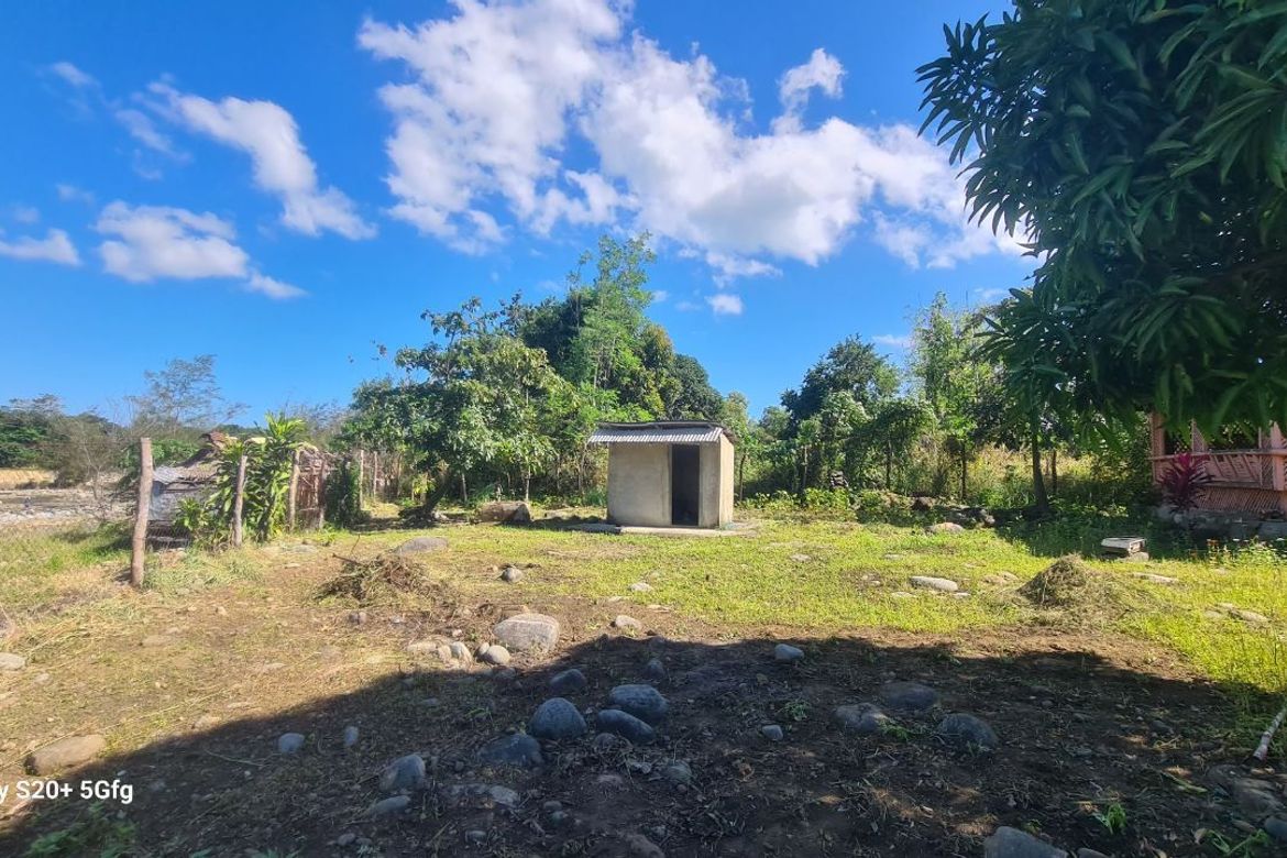 Land for Sale in Princess Urduja, Narra, Palawan
