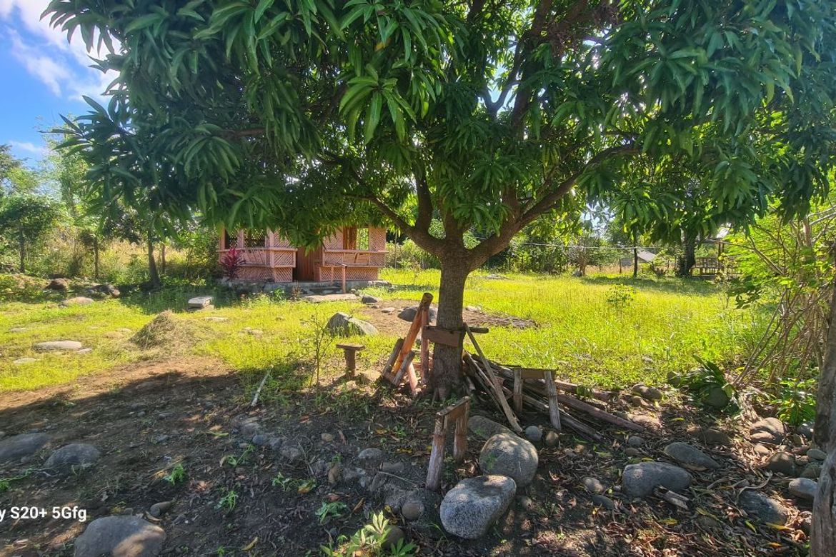 Land for Sale in Princess Urduja, Narra, Palawan – photo 2