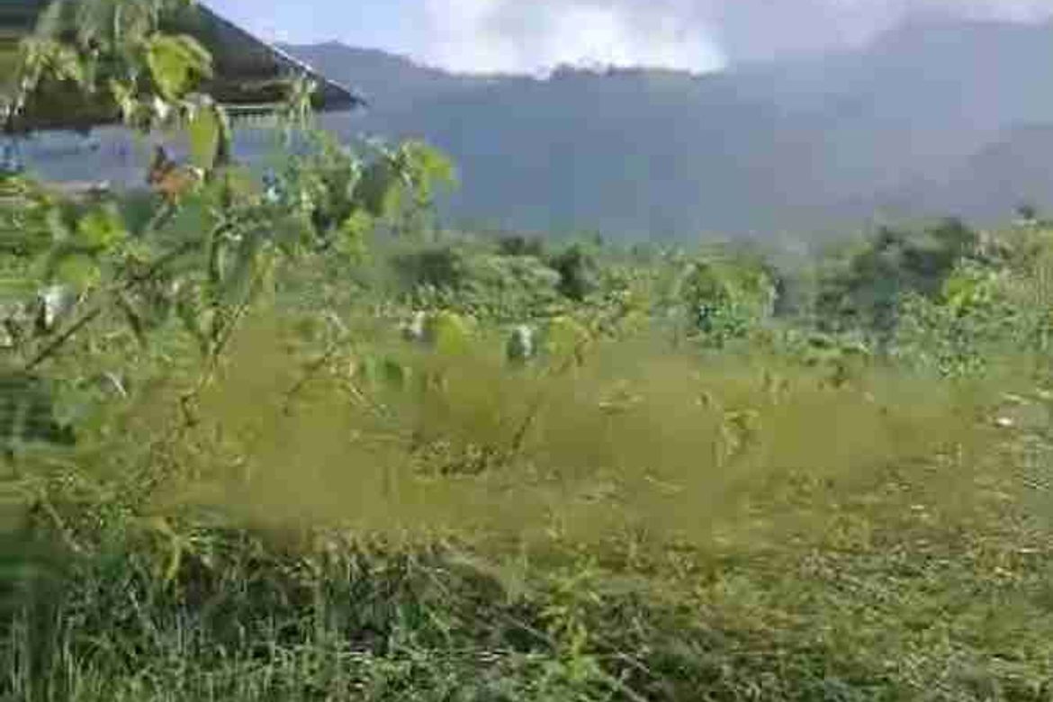 Land for Sale in Princess Urduja, Narra, Palawan