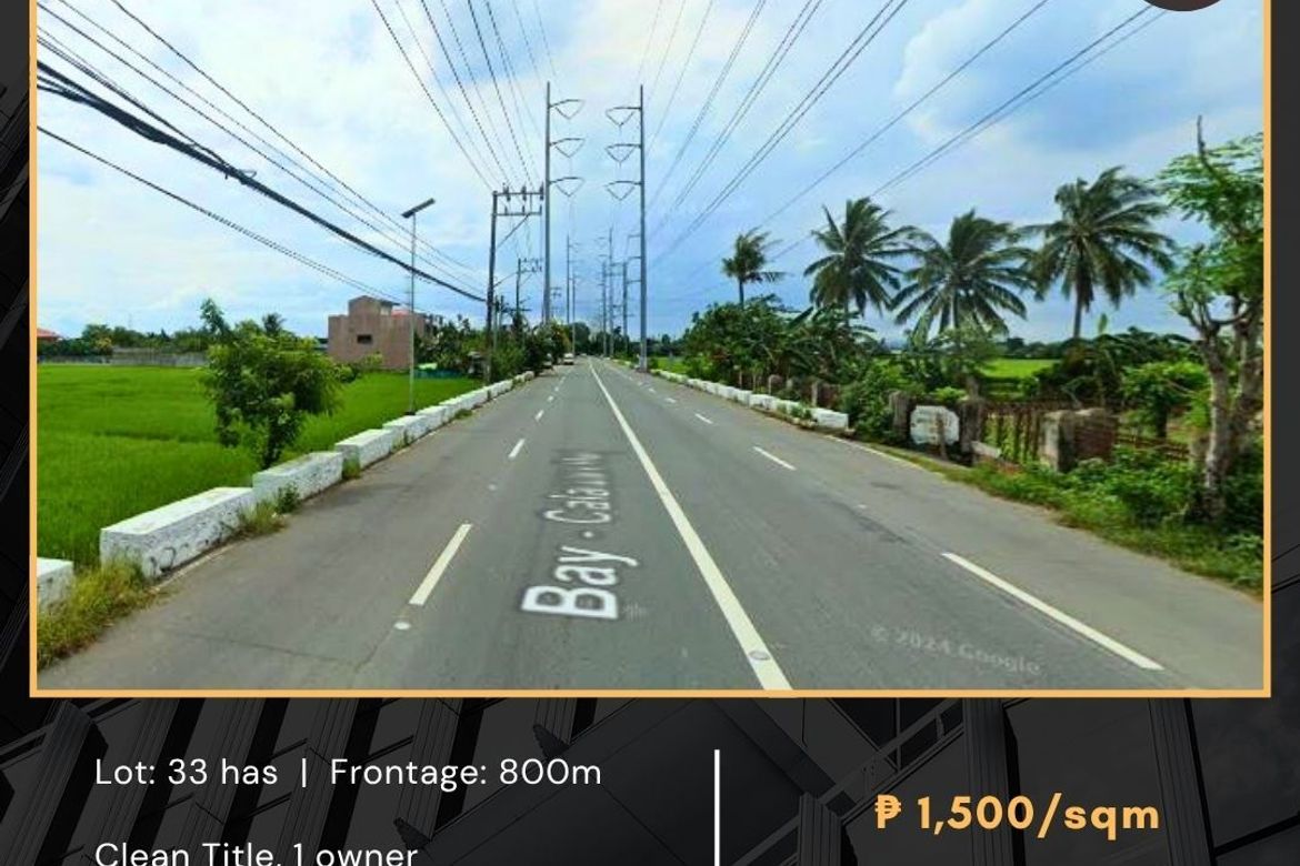 Land for Sale in Prinza, Calauan, Laguna