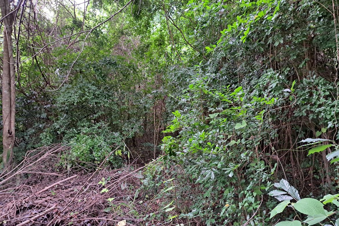 Land for Sale in Prinza, Teresa, Rizal – photo 2