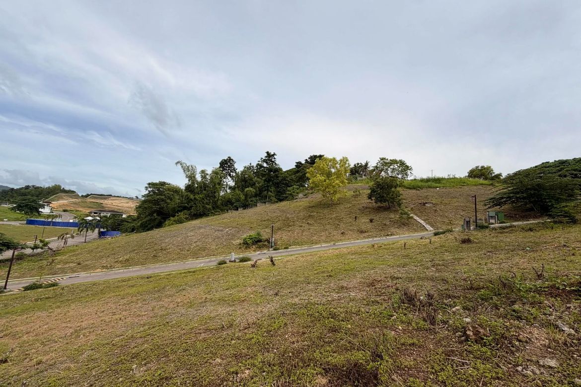 Land for Sale in Priveya Hills, Bacayan, Cebu City, Cebu – photo 3