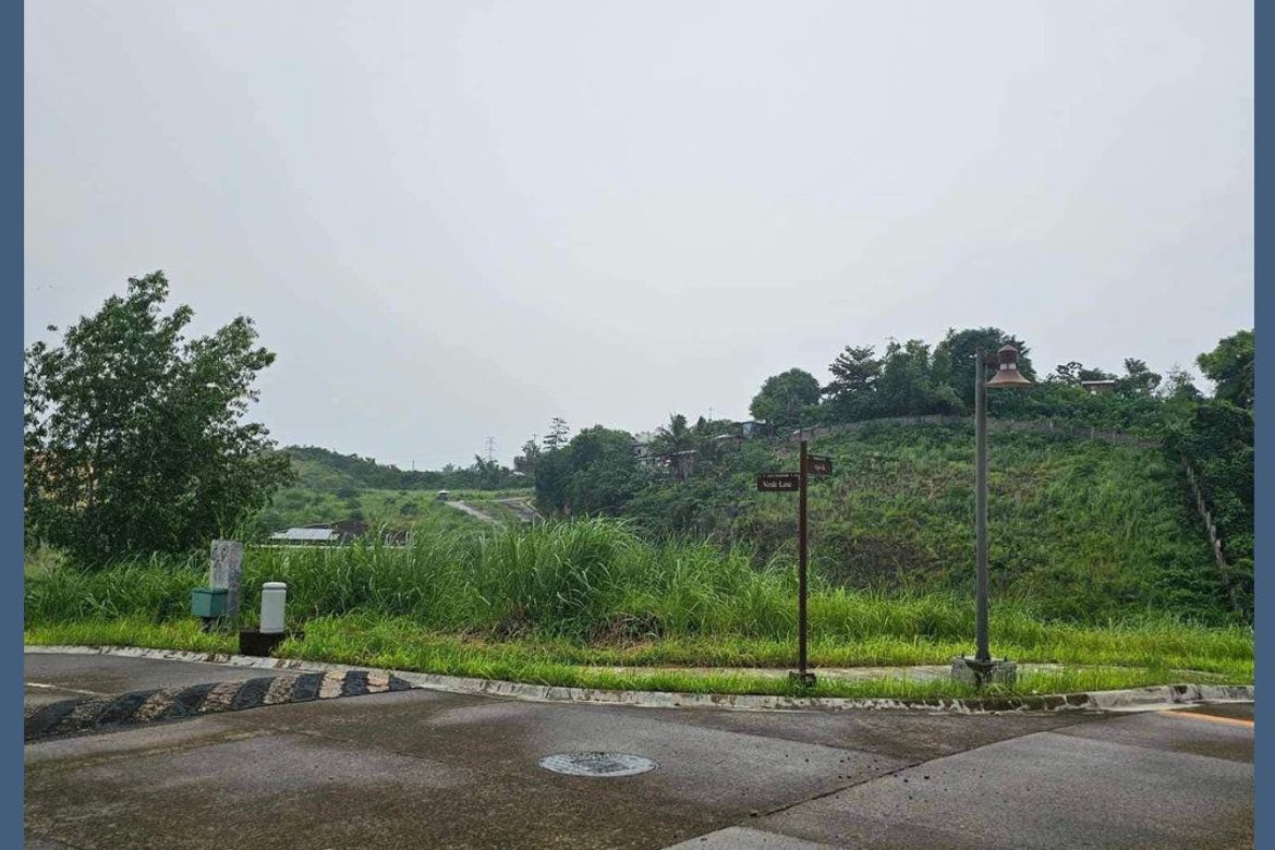 Land for Sale in Priveya Hills, Bacayan, Cebu City, Cebu