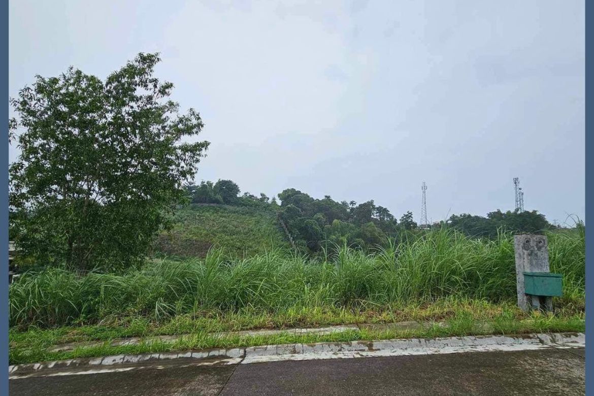 Land for Sale in Priveya Hills, Bacayan, Cebu City, Cebu – photo 6