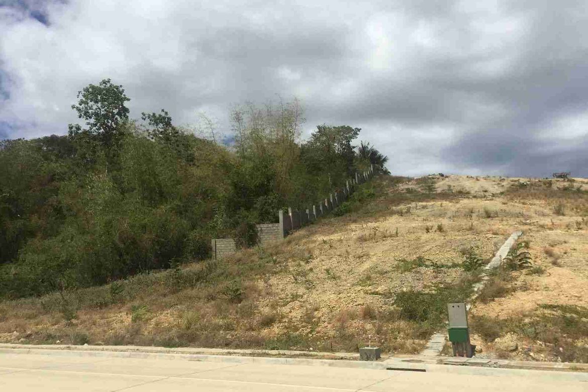 Land for Sale in Priveya Hills, Bacayan, Cebu City, Cebu – photo 4