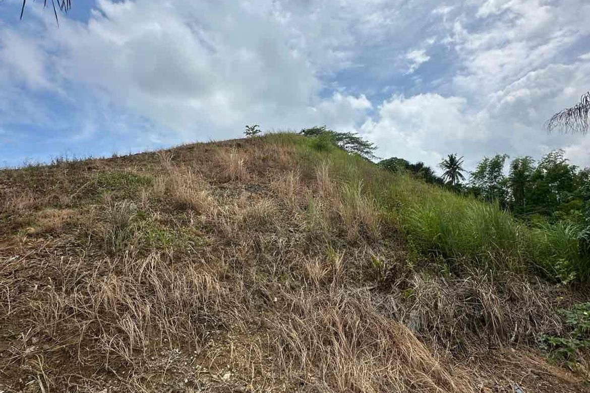 Land for Sale in Priveya Hills, Bacayan, Cebu City, Cebu – photo 2