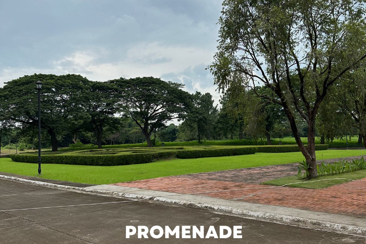 Land for Sale in Promenade, Santo Domingo, Santa Rosa, Laguna
