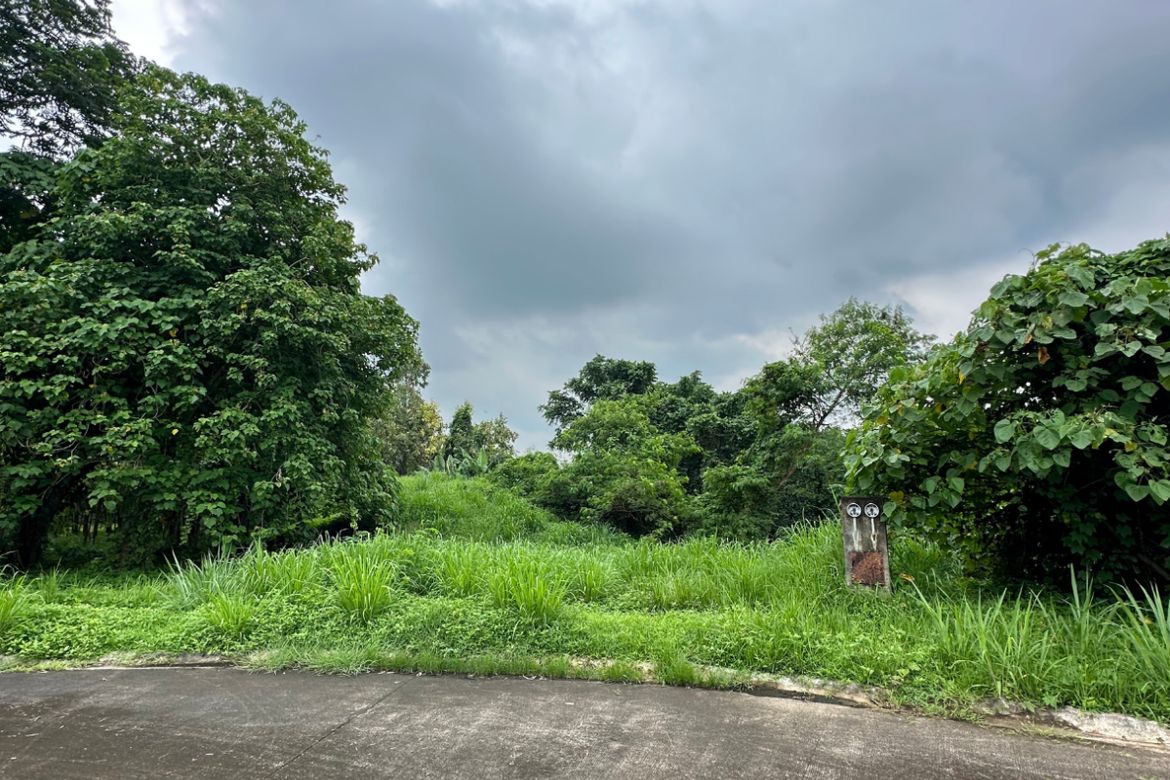 Land for Sale in Promenade, Santo Domingo, Santa Rosa, Laguna – photo 5