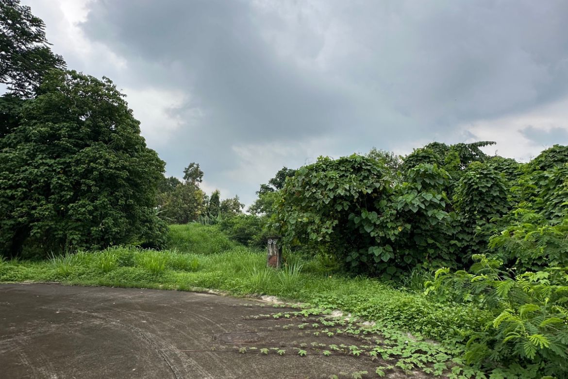 Land for Sale in Promenade, Santo Domingo, Santa Rosa, Laguna – photo 7