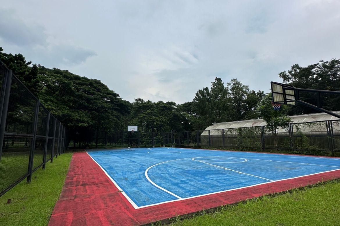 Land for Sale in Promenade, Santo Domingo, Santa Rosa, Laguna – photo 8