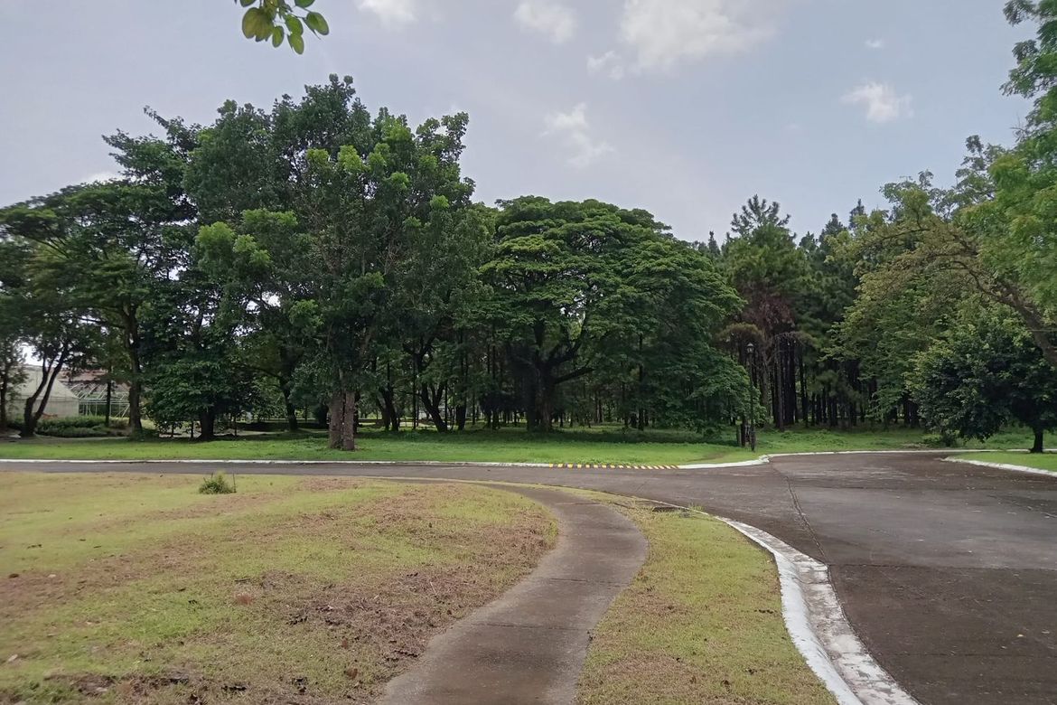 Land for Sale in Promenade, Santo Domingo, Santa Rosa, Laguna